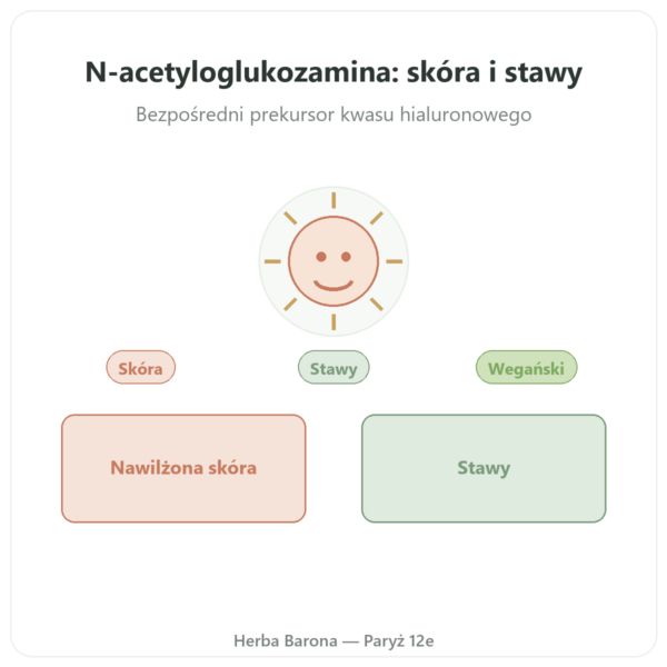 N-Acetylo Glukozamina (NAG) 500mg – 60 kapsułek – Dynveo prezentacja Paris Herba Barona