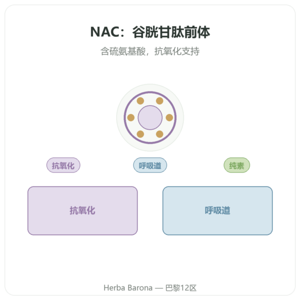 N-乙酰半胱氨酸 NAC – Dynveo – 600mg – 60 粒胶囊 产品展示 Paris Herba Barona