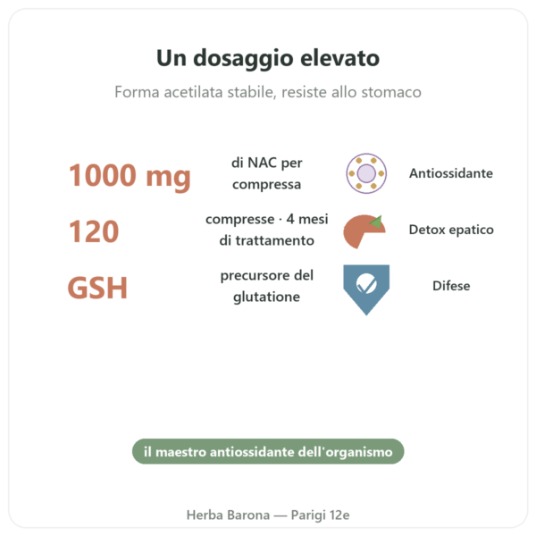 NAC (N-acetilcisteina) 1000 mg – 120 compresse – Now Foods benefici e dati chiave Paris Herba Barona