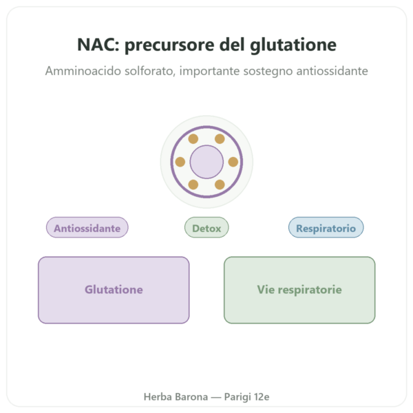 NAC (N-acetilcisteina) 1000 mg – 120 compresse – Now Foods presentazione Paris Herba Barona