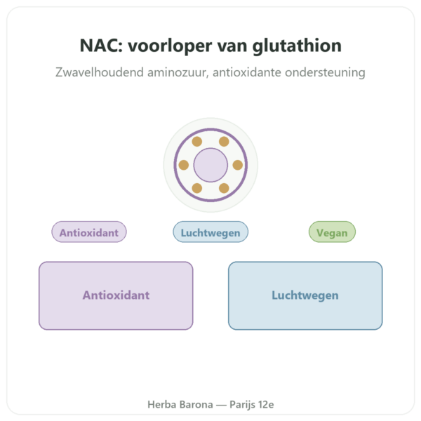 N-Acetylcysteïne NAC Dynveo 600 mg presentatie Paris Herba Barona