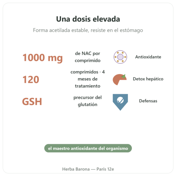NAC (N-Acetilcisteína) 1000 mg – 120 Comprimidos – Now Foods beneficios y datos clave Paris Herba Barona