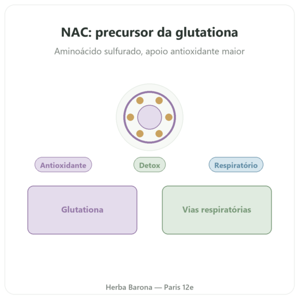 NAC (N-Acetilcisteína) 1000 mg – 120 comprimidos – Now Foods apresentação Paris Herba Barona