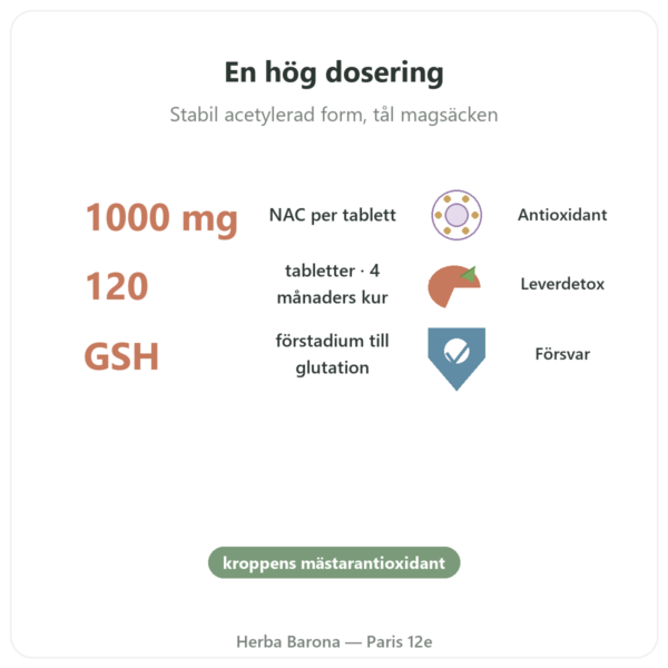 NAC (N-acetylcystein) 1000 mg – 120 tabletter – Now Foods fördelar och nyckelfakta Paris Herba Barona