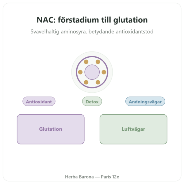 NAC (N-acetylcystein) 1000 mg – 120 tabletter – Now Foods presentation Paris Herba Barona
