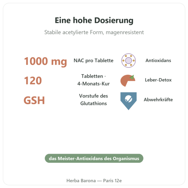 NAC (N-Acetylcystein) 1000 mg – 120 Tabletten – Now Foods Vorteile und Fakten Paris Herba Barona