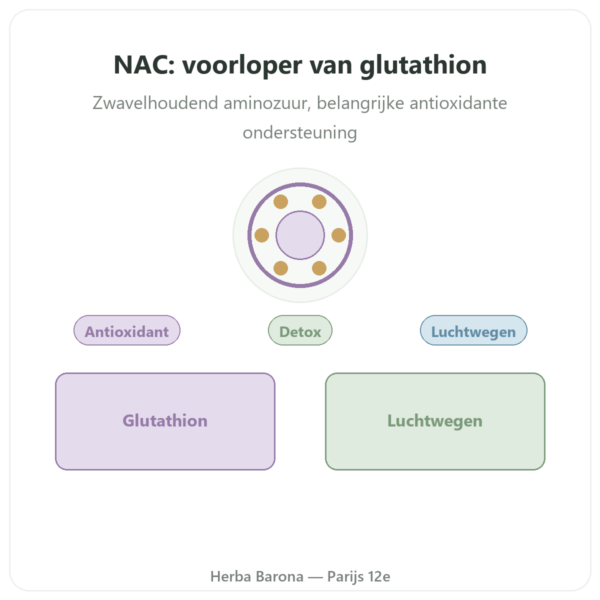NAC (N-acetylcysteïne) 1000 mg – 120 tabletten – Now Foods presentatie Paris Herba Barona