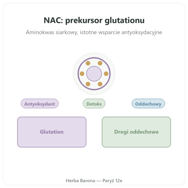 NAC (N-acetylocysteina) 1000 mg – 120 tabletek – Now Foods prezentacja Paris Herba Barona