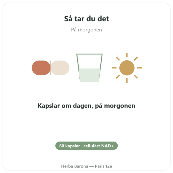 NAD+ – SIHO – Cellulär Energi & Livslängd – 60 kapslar användning och dosering Paris Herba Barona