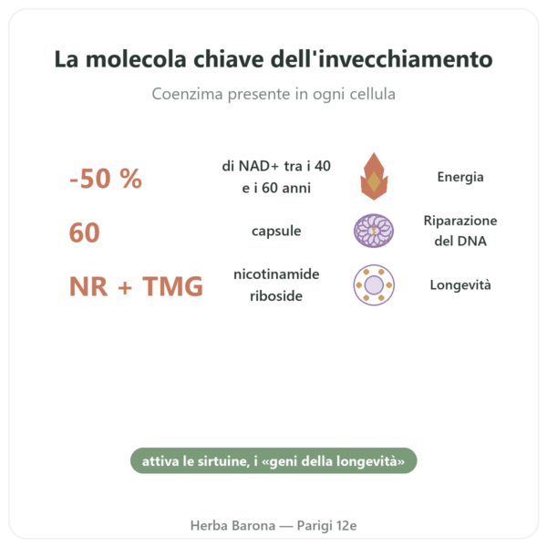 NAD+ – SIHO – Energia Cellulare & Longevità – 60 Capsule benefici e dati chiave Paris Herba Barona