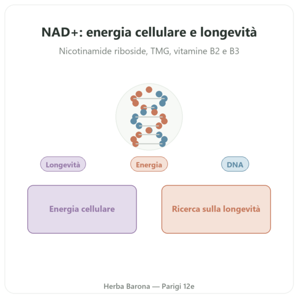NAD+ – SIHO – Energia Cellulare & Longevità – 60 Capsule presentazione Paris Herba Barona