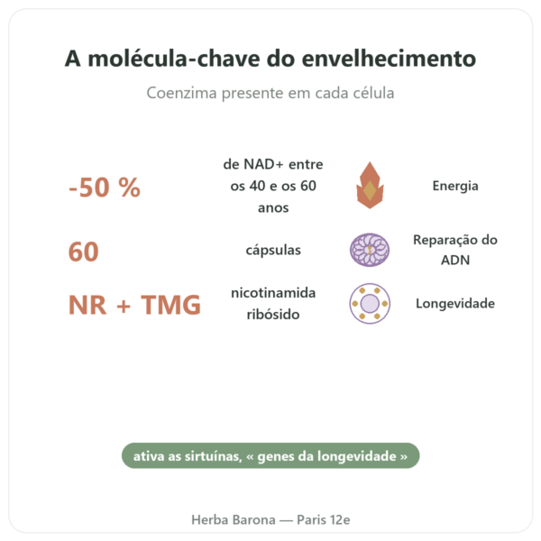 NAD+ – SIHO – Energia Celular e Longevidade – 60 cápsulas benefícios e dados principais Paris Herba Barona
