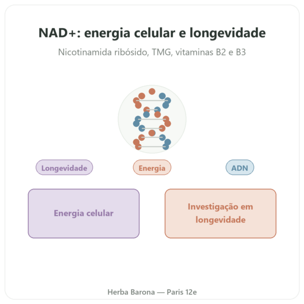 NAD+ – SIHO – Energia Celular e Longevidade – 60 cápsulas apresentação Paris Herba Barona