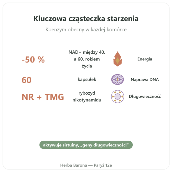 NAD+ – SIHO – Energia Komórkowa i Długowieczność – 60 Kaps. korzyści i najważniejsze fakty Paris Herba Barona