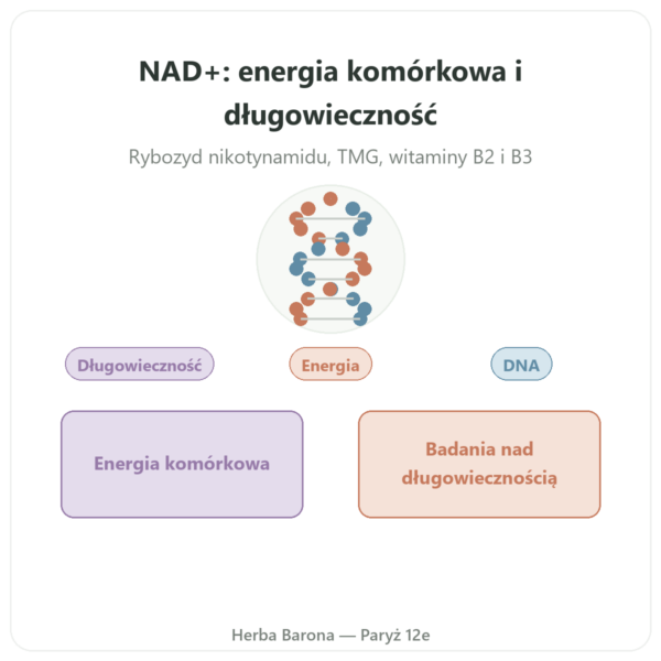 NAD+ – SIHO – Energia Komórkowa i Długowieczność – 60 Kaps. prezentacja Paris Herba Barona