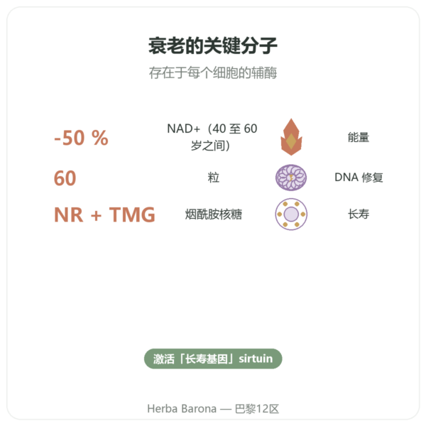 SIHO NAD+ – 细胞能量与长寿 – 60粒 功效与数据 Paris Herba Barona