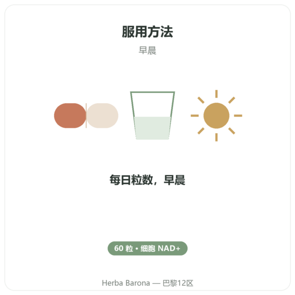 SIHO NAD+ – 细胞能量与长寿 – 60粒 使用方法与建议剂量 Paris Herba Barona