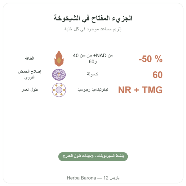 NAD+ – SIHO – طاقة خلوية وطول عمر – 60 كبسولة الفوائد والمعطيات الرئيسية Paris Herba Barona