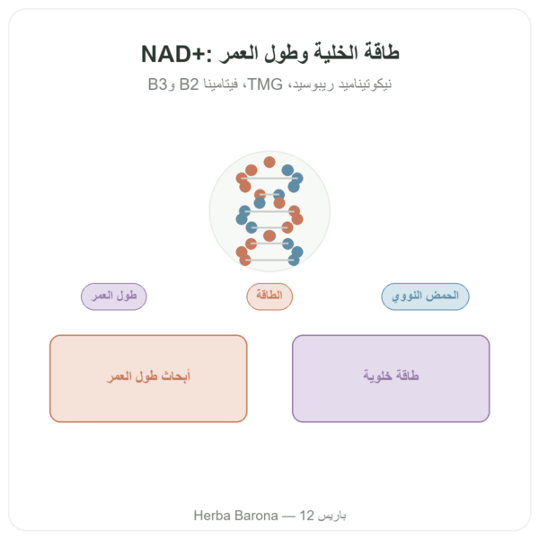 NAD+ – SIHO – طاقة خلوية وطول عمر – 60 كبسولة عرض المنتج Paris Herba Barona