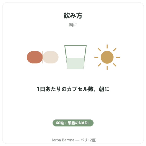 NAD+ – SIHO – 細胞エネルギー & エイジングケア – 60カプセル directions and dosage Paris Herba Barona