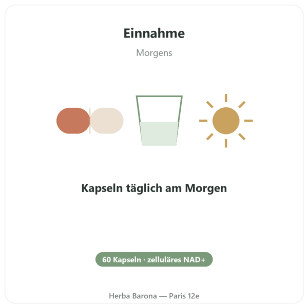 NAD+ – SIHO – Zelluläre Energie & Langlebigkeit – 60 Kapseln Anwendung und Dosierung Paris Herba Barona