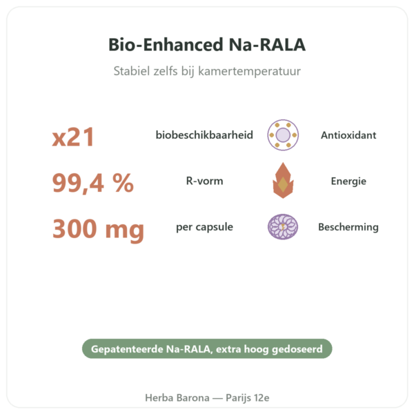 Natrium R-lipoaat 300 mg – 60 capsules – Dynveo voordelen en kerngegevens Paris Herba Barona