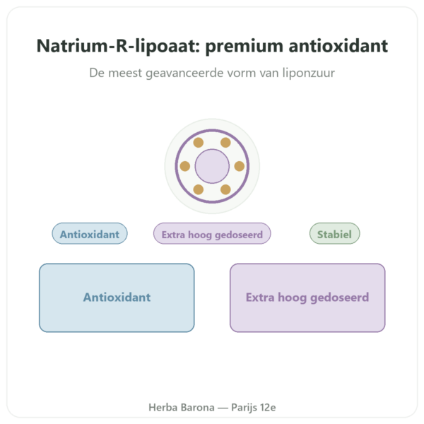 Natrium R-lipoaat 300 mg – 60 capsules – Dynveo presentatie Paris Herba Barona
