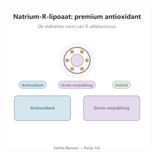 Natrium R-lipoaat Dynveo 300 mg 300 Capsules presentatie Paris Herba Barona