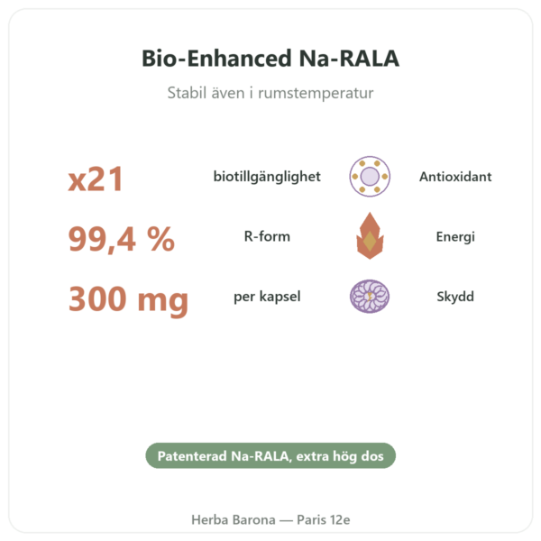 Natrium R-lipoat 300 mg – 60 kapslar – Dynveo fördelar och nyckelfakta Paris Herba Barona