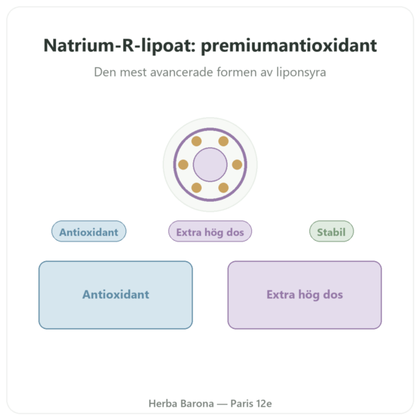 Natrium R-lipoat 300 mg – 60 kapslar – Dynveo presentation Paris Herba Barona