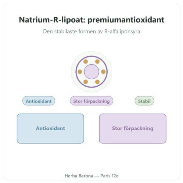 Natrium-R-lipoat 300 mg – Dynveo – 300 Kapslar presentation Paris Herba Barona