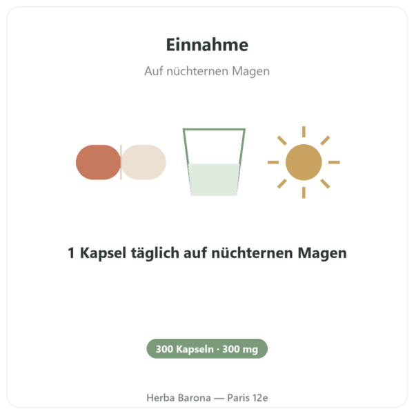 Natrium-R-Liponat Bio-Enhanced® – Dynveo – 300 mg – 300 Kapseln Anwendung und Dosierung Paris Herba Barona