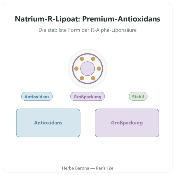 Natrium-R-Liponat Bio-Enhanced® – Dynveo – 300 mg – 300 Kapseln Vorstellung Paris Herba Barona