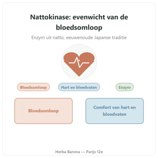 Nattokinase Dynveo 100 mg 60 Capsules presentatie Paris Herba Barona