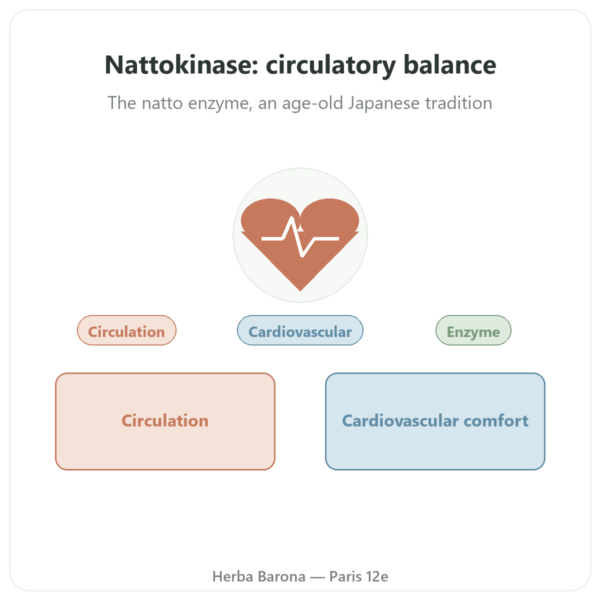 Nattokinase – Dynveo – 100mg – 60 capsules presentation Paris Herba Barona
