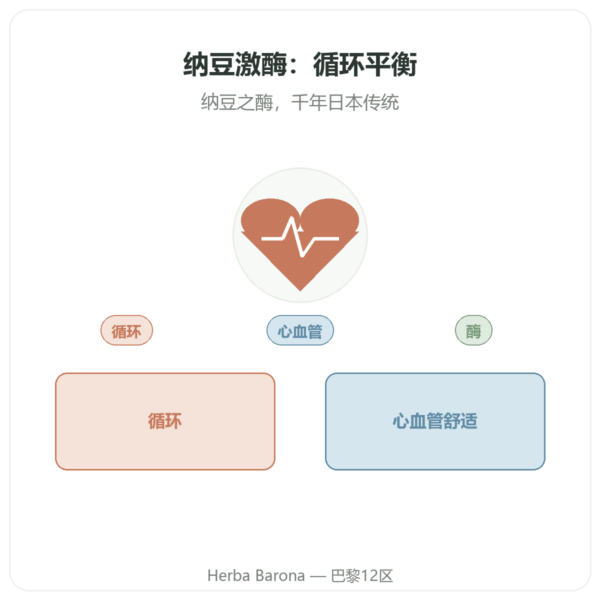 Dynveo 纳豆激酶 100 mg 60 粒胶囊 产品展示 Paris Herba Barona