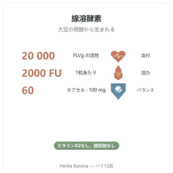 ナットウキナーゼ Dynveo 100 mg 60カプセル benefits and key facts Paris Herba Barona