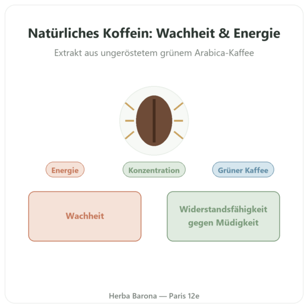 Natürliches Koffein – Nutrimuscle – 30 Kapseln Vorstellung Paris Herba Barona