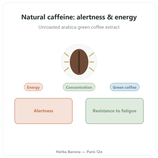 Natural Caffeine – Nutrimuscle – 30 capsules presentation Paris Herba Barona