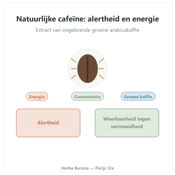 Natuurlijke Cafeïne Nutrimuscle - 30 capsules presentatie Paris Herba Barona