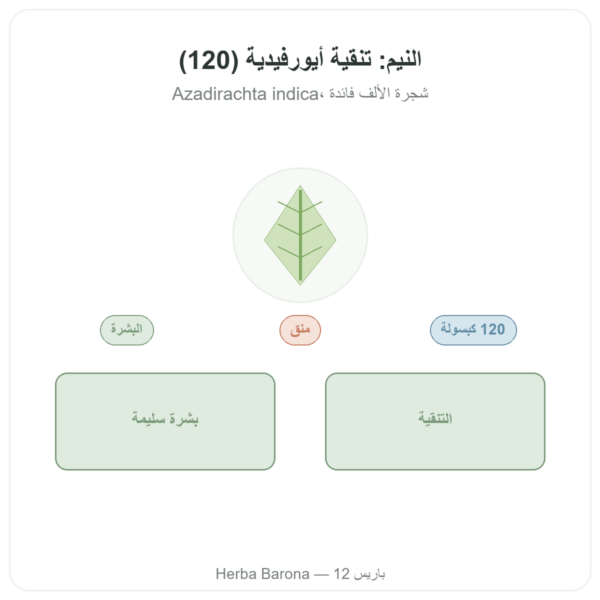 نيم – Ayur-vana – 120 كبسولة عرض المنتج Paris Herba Barona