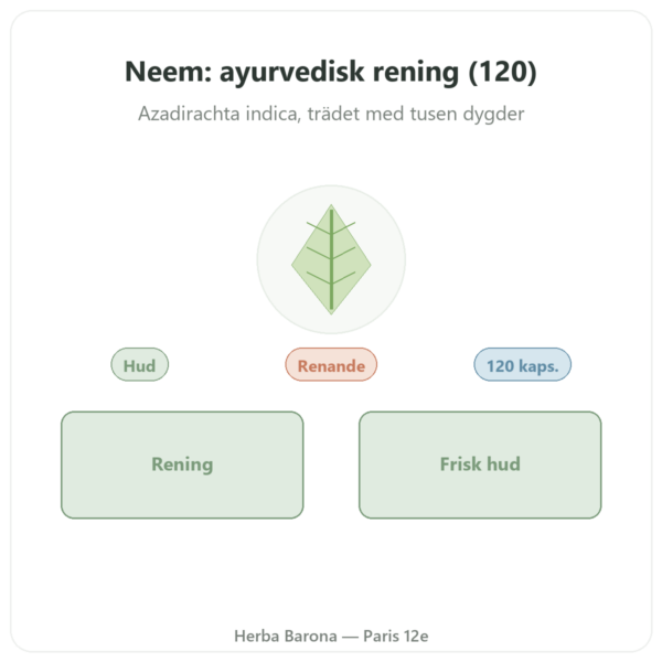 Neem – Ayur-vana – 120 kapslar presentation Paris Herba Barona