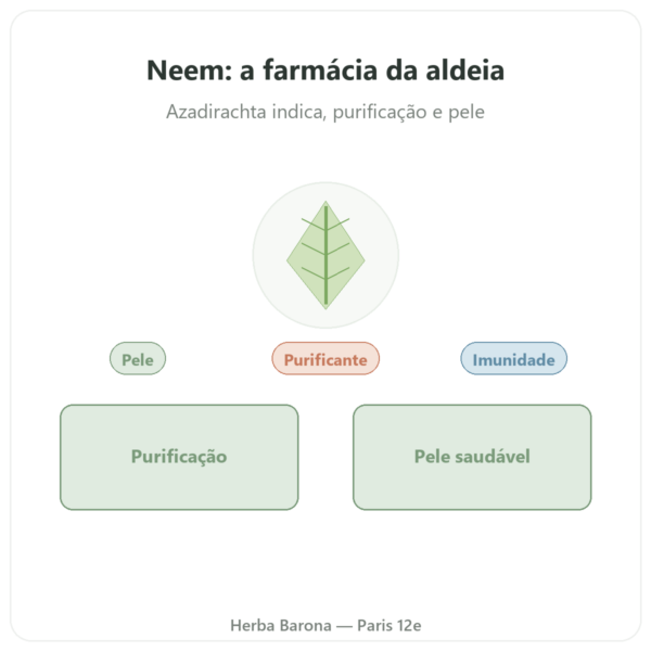 Neem – Ayur-vana – 60 cápsulas apresentação Paris Herba Barona