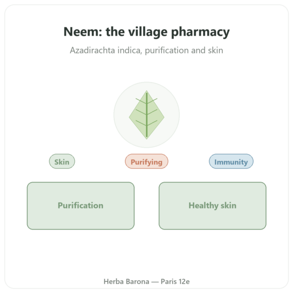 Neem – Ayur-vana – 60 capsules presentation Paris Herba Barona