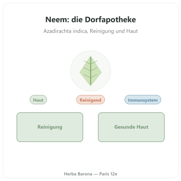 Neem – Ayur-vana – 60 Kapseln Vorstellung Paris Herba Barona
