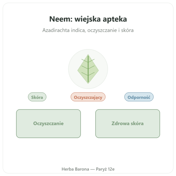 Neem – Ayur-vana – 60 Kapsułek prezentacja Paris Herba Barona