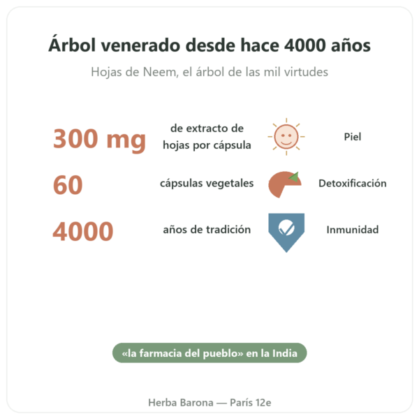 Neem – Ayur-vana – 60 Cápsulas beneficios y datos clave Paris Herba Barona