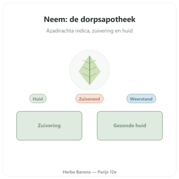 Neem – Ayur-vana – 60 capsules presentatie Paris Herba Barona