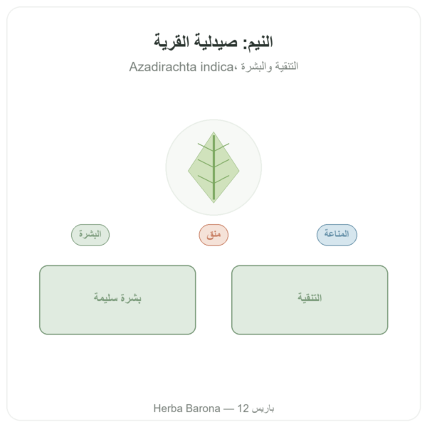نيم – Ayur-vana – 60 كبسولة عرض المنتج Paris Herba Barona