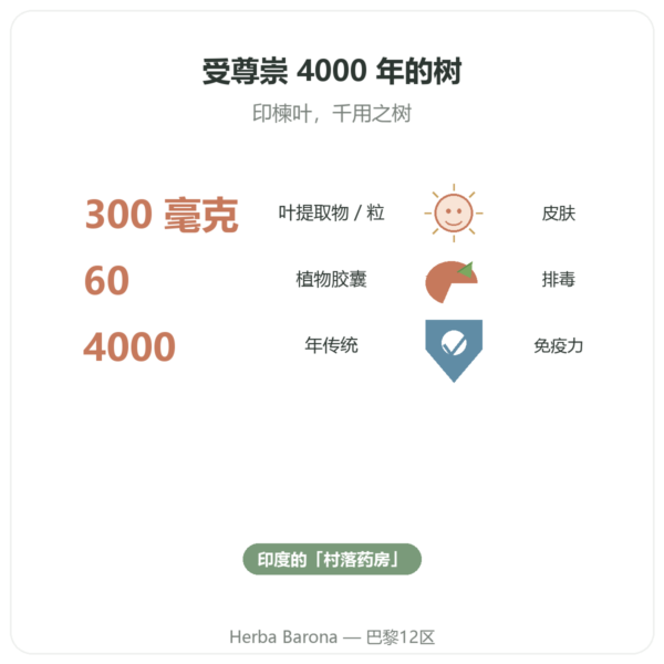 印楝(Neem)– Ayur-vana – 60 粒胶囊 功效与数据 Paris Herba Barona
